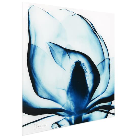 Empire Art Direct 24" x 24" Blue Magnolia X-Ray Frameless Free Floating Printed Tempered Glass Wall Art